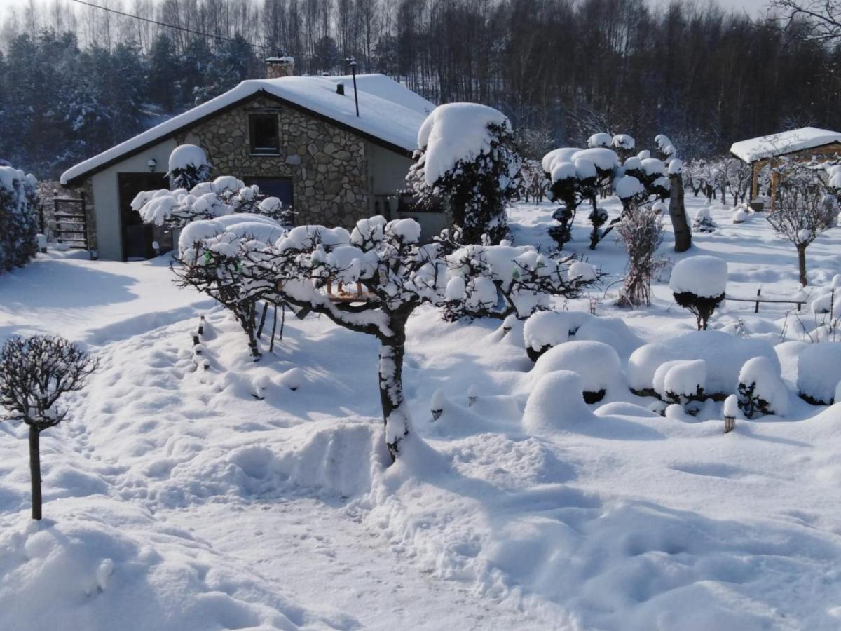 Czytelnia W Sadzie Villa Krzykawka ภายนอก รูปภาพ